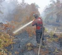 Waspada Kabut Asap: 1.310 Hotspot Terdeteksi di Sumatra, Riau Sumbang 26 Titik